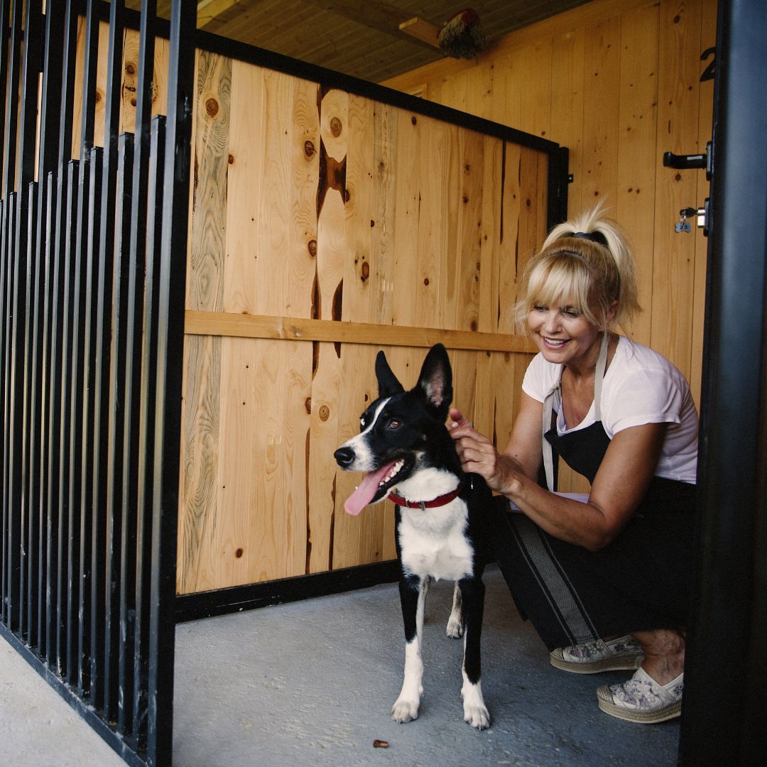 How to Find the Right Dog Care Facility Learn More All Dog Adventures